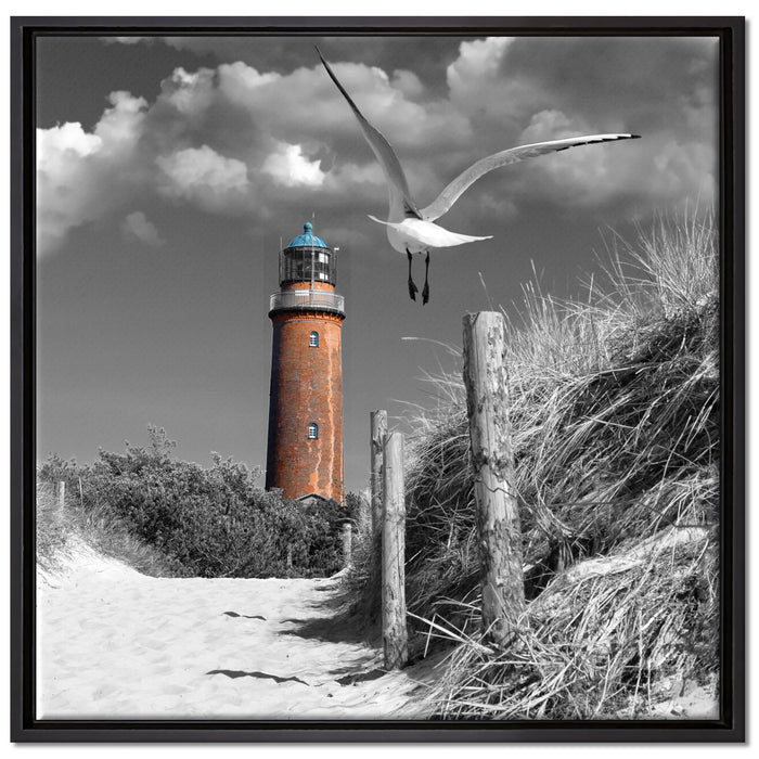 Leuchtturm mit Möwe an Strandweg auf Leinwandbild Quadratisch gerahmt Größe 70x70