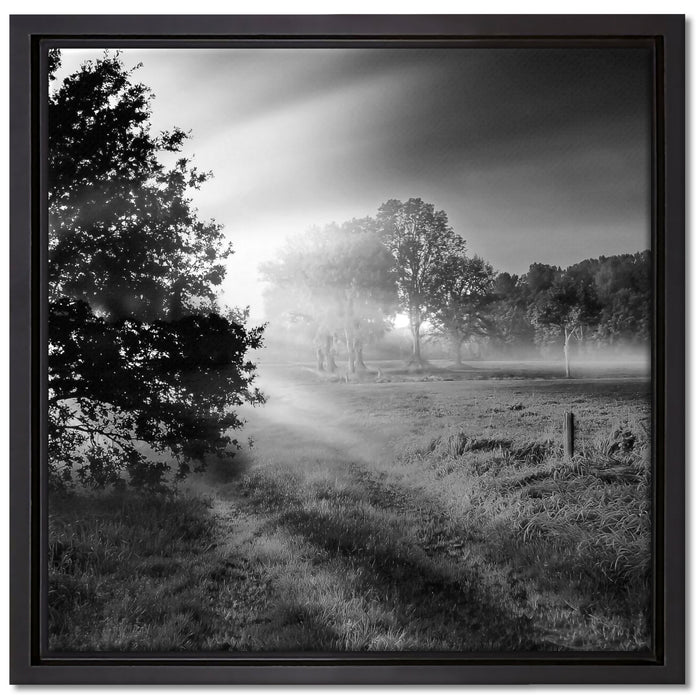 schöne Lichtung im Wald auf Leinwandbild Quadratisch gerahmt Größe 40x40