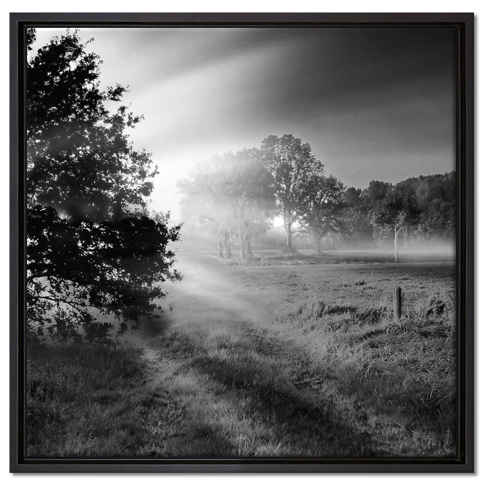 schöne Lichtung im Wald auf Leinwandbild Quadratisch gerahmt Größe 60x60