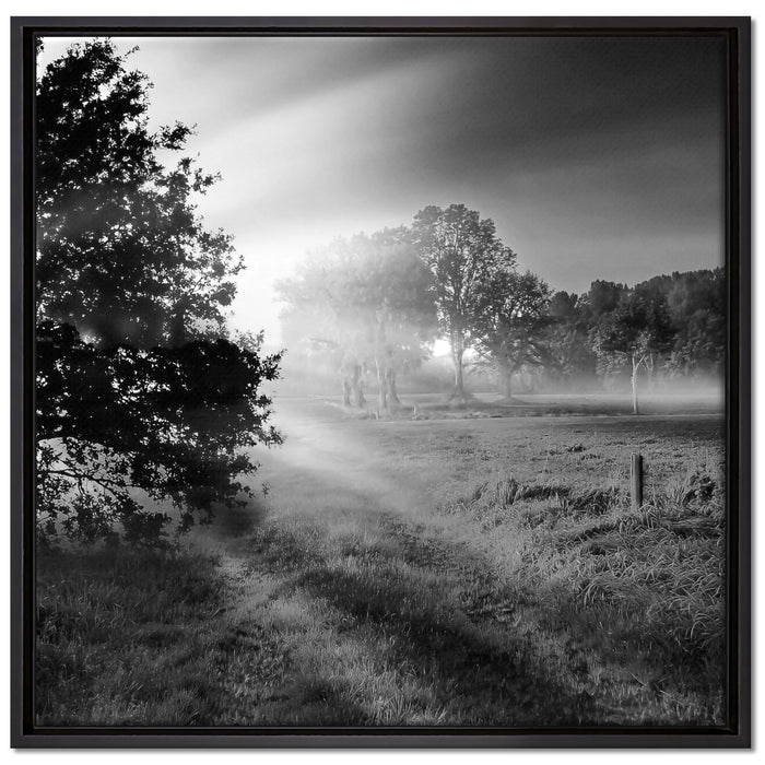 schöne Lichtung im Wald auf Leinwandbild Quadratisch gerahmt Größe 70x70