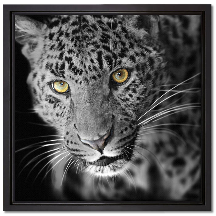 prächtig anmutiger Leopard auf Leinwandbild Quadratisch gerahmt Größe 40x40