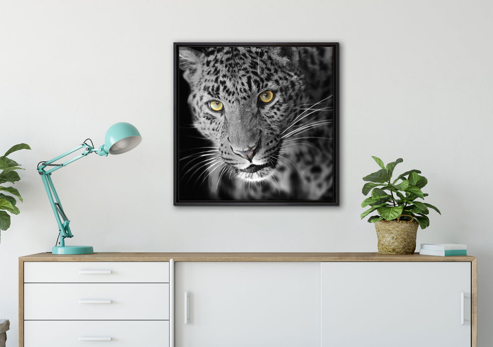 prächtig anmutiger Leopard auf Leinwandbild gerahmt Quadratisch verschiedene Größen im Wohnzimmer
