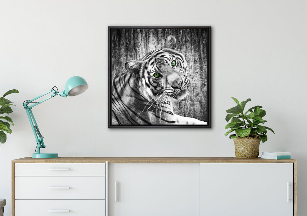 schöner neugieriger Tiger auf Leinwandbild gerahmt Quadratisch verschiedene Größen im Wohnzimmer