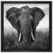 prachtvoller Elefant auf Leinwandbild Quadratisch gerahmt Größe 40x40