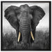 prachtvoller Elefant auf Leinwandbild Quadratisch gerahmt Größe 70x70