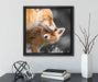 süße kuschelnden Füchse  auf Leinwandbild Quadratisch gerahmt mit Kirschblüten