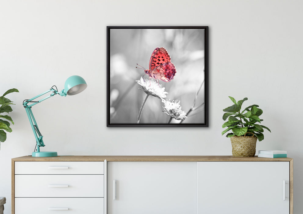 Schmetterling auf Blüte auf Leinwandbild gerahmt Quadratisch verschiedene Größen im Wohnzimmer
