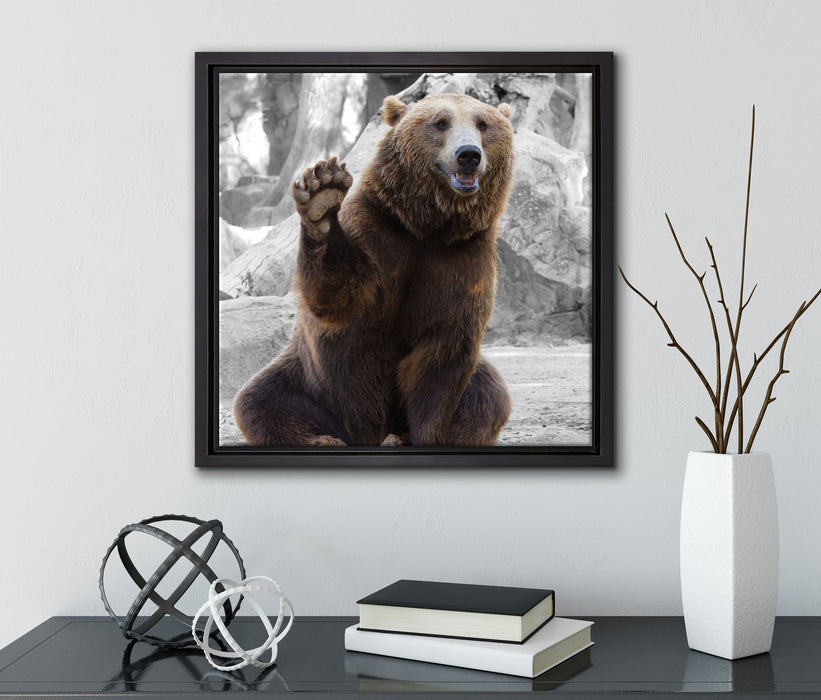 dicker Bär sagt Hallo  auf Leinwandbild Quadratisch gerahmt mit Kirschblüten