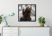 dicker Bär sagt Hallo auf Leinwandbild gerahmt Quadratisch verschiedene Größen im Wohnzimmer