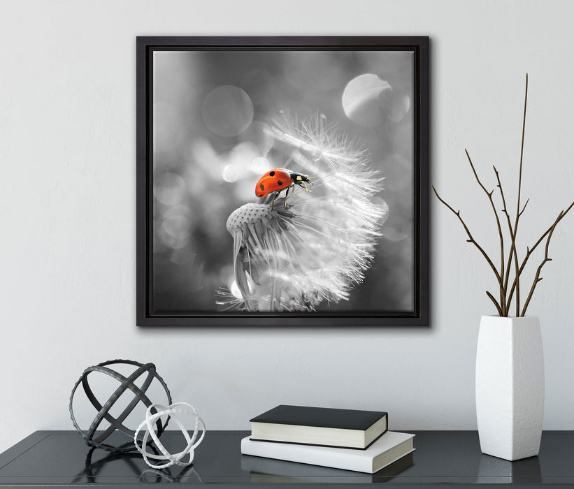 Marienkäfer auf Pusteblume  auf Leinwandbild Quadratisch gerahmt mit Kirschblüten