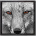 wunderschöner Fuchs im Portrait auf Leinwandbild Quadratisch gerahmt Größe 40x40