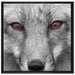 wunderschöner Fuchs im Portrait auf Leinwandbild Quadratisch gerahmt Größe 70x70