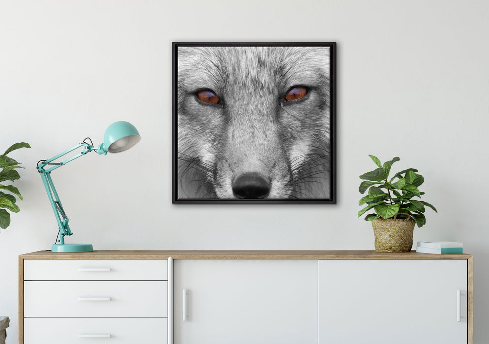 wunderschöner Fuchs im Portrait auf Leinwandbild gerahmt Quadratisch verschiedene Größen im Wohnzimmer