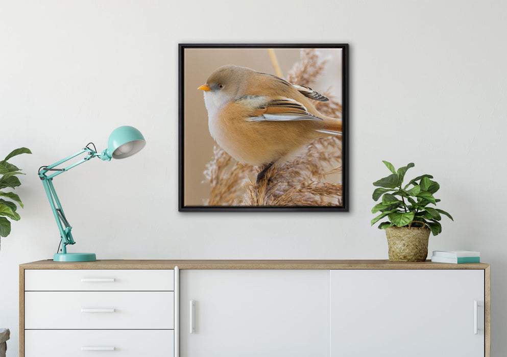 kleiner Vogel auf Weizen auf Leinwandbild gerahmt Quadratisch verschiedene Größen im Wohnzimmer