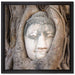 Buddha Kopf im Baum auf Leinwandbild Quadratisch gerahmt Größe 40x40