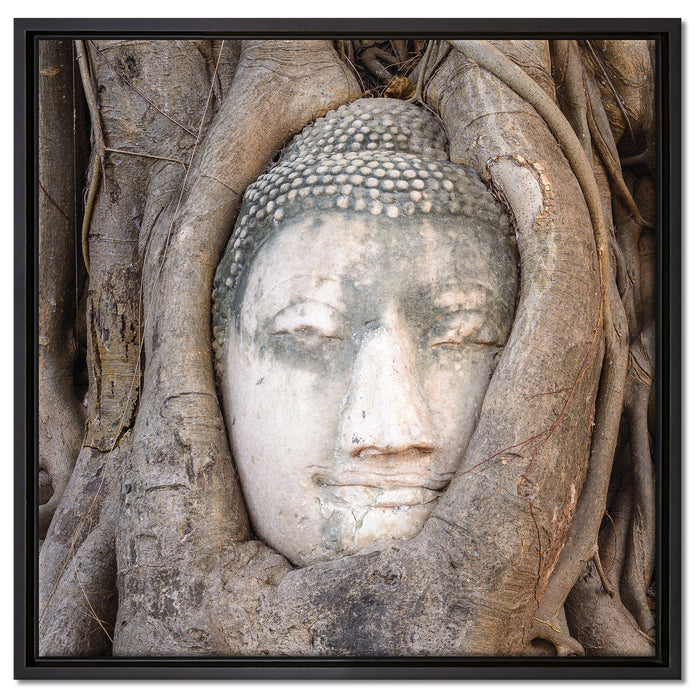 Buddha Kopf im Baum auf Leinwandbild Quadratisch gerahmt Größe 60x60