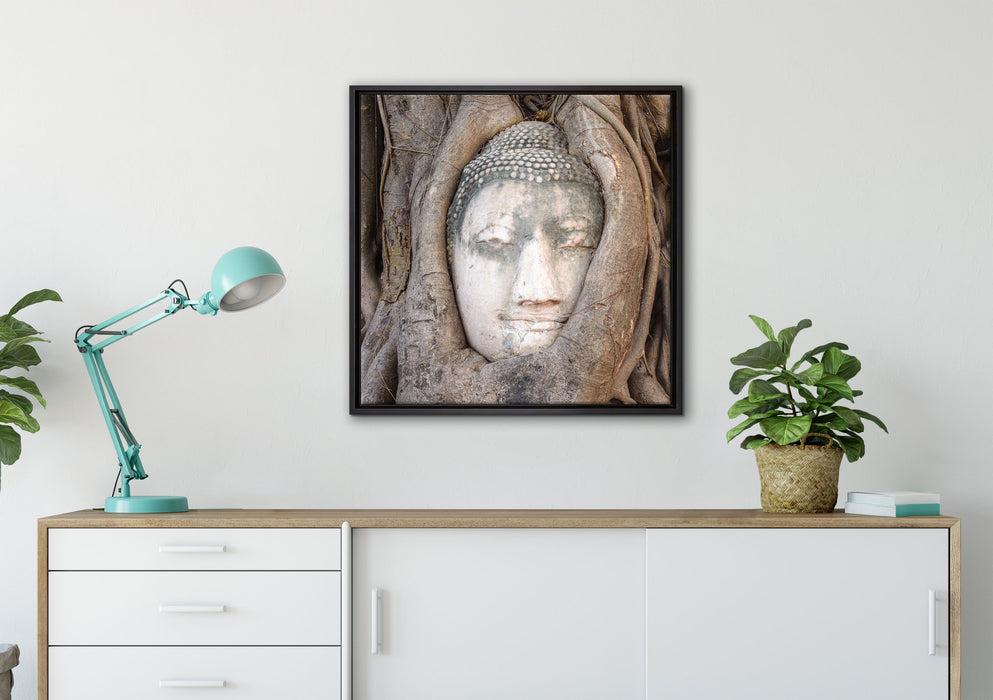 Buddha Kopf im Baum auf Leinwandbild gerahmt Quadratisch verschiedene Größen im Wohnzimmer