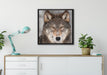 Wachsamer Wolf auf Leinwandbild gerahmt Quadratisch verschiedene Größen im Wohnzimmer