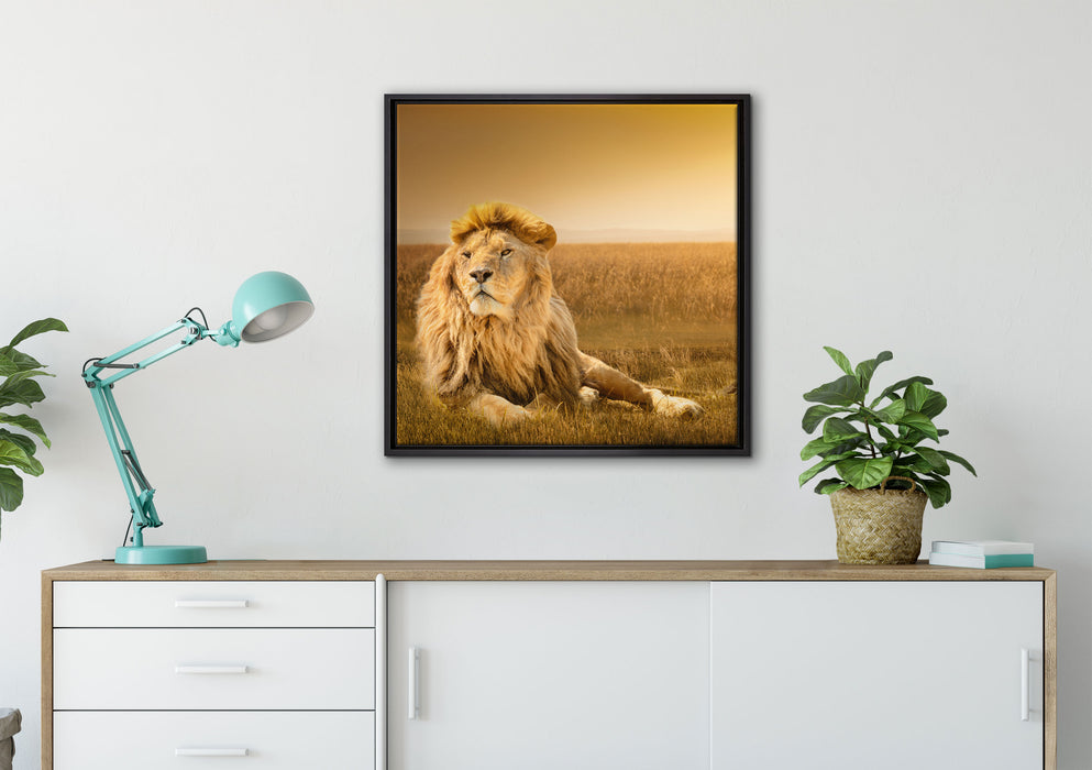 Majestätischer Löwe auf Leinwandbild gerahmt Quadratisch verschiedene Größen im Wohnzimmer
