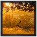 Damhirschbock Herbstmorgen auf Leinwandbild Quadratisch gerahmt Größe 40x40