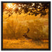Damhirschbock Herbstmorgen auf Leinwandbild Quadratisch gerahmt Größe 60x60
