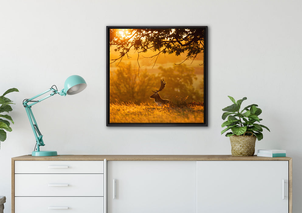 Damhirschbock Herbstmorgen auf Leinwandbild gerahmt Quadratisch verschiedene Größen im Wohnzimmer