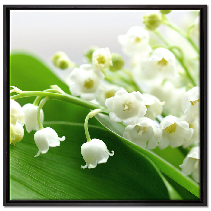 Maiglöckchen Ostern auf Leinwandbild Quadratisch gerahmt Größe 70x70
