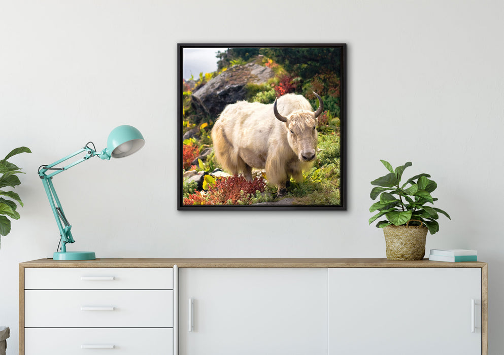 Schönes Yak Himalaya auf Leinwandbild gerahmt Quadratisch verschiedene Größen im Wohnzimmer