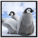 Kaiserpinguin Gruppe auf Leinwandbild Quadratisch gerahmt Größe 70x70