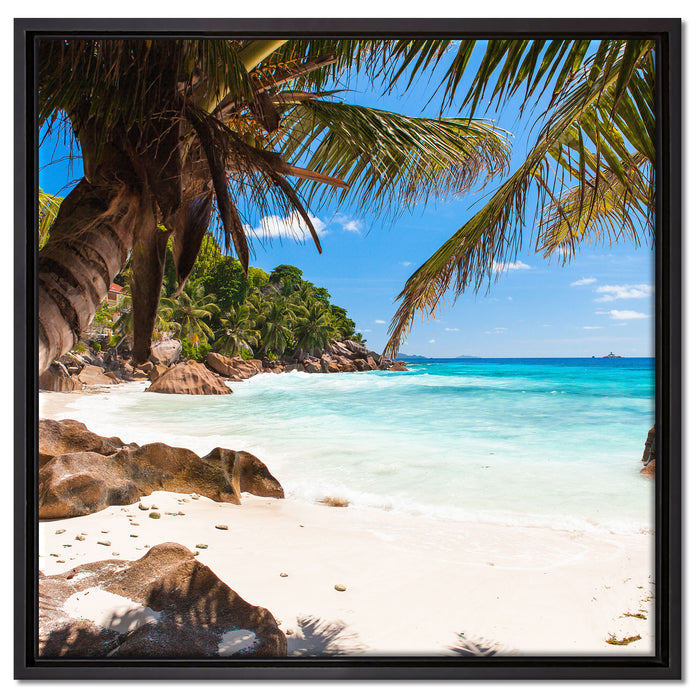 Palmenstrand Seychellen auf Leinwandbild Quadratisch gerahmt Größe 60x60