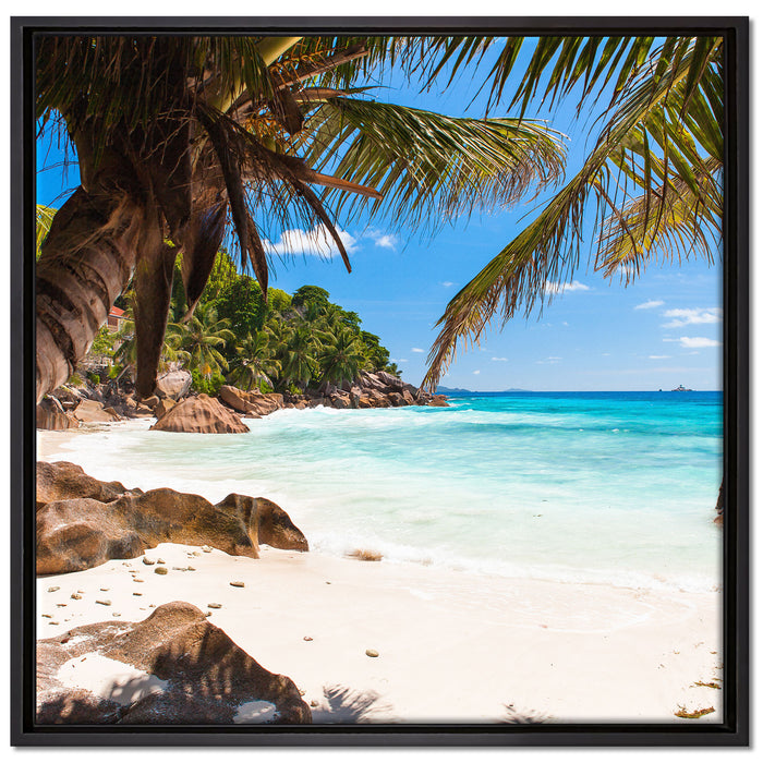 Palmenstrand Seychellen auf Leinwandbild Quadratisch gerahmt Größe 70x70