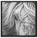 Islandpony in den Westfjorden auf Leinwandbild Quadratisch gerahmt Größe 60x60