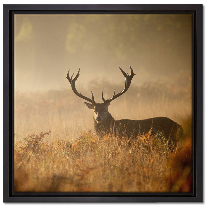 Rotwild Hirsch im Nebel auf Leinwandbild Quadratisch gerahmt Größe 40x40
