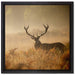 Rotwild Hirsch im Nebel auf Leinwandbild Quadratisch gerahmt Größe 40x40
