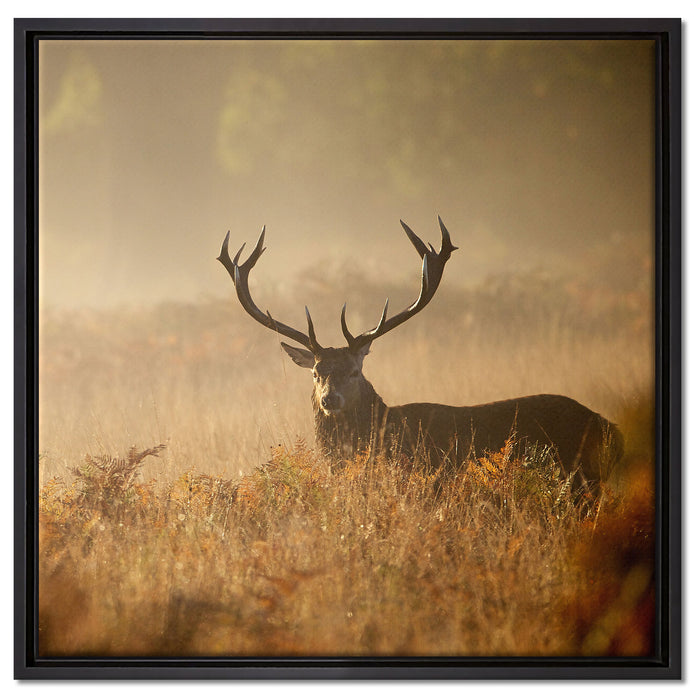 Rotwild Hirsch im Nebel auf Leinwandbild Quadratisch gerahmt Größe 60x60