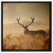 Rotwild Hirsch im Nebel auf Leinwandbild Quadratisch gerahmt Größe 60x60