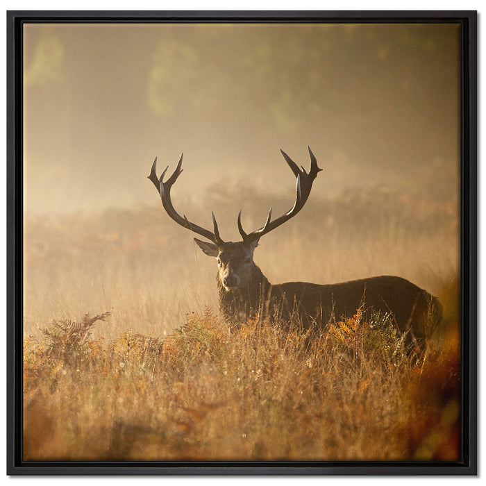 Rotwild Hirsch im Nebel auf Leinwandbild Quadratisch gerahmt Größe 70x70
