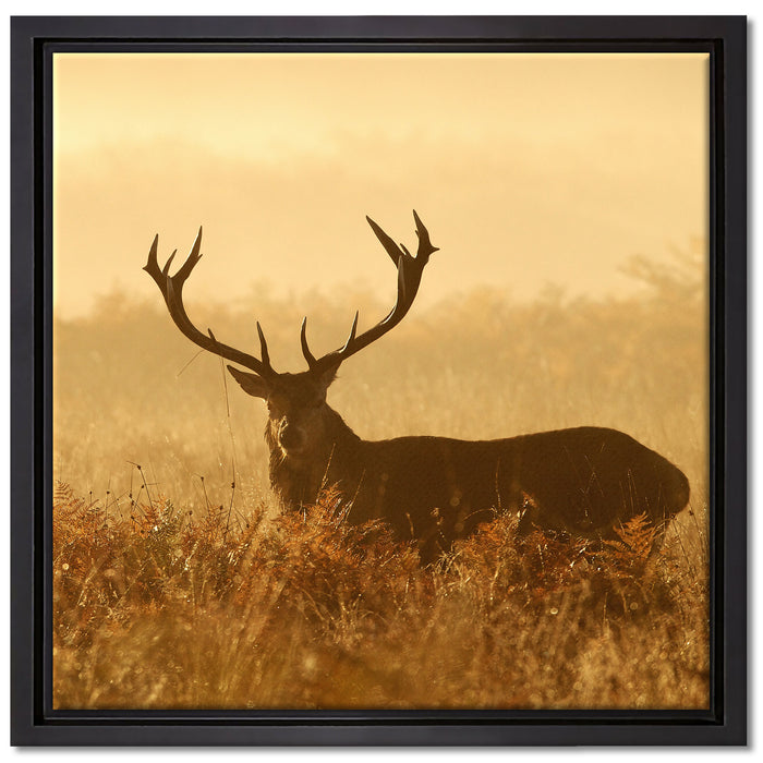 Rotwild Hirsch in Abenddämmerung auf Leinwandbild Quadratisch gerahmt Größe 40x40