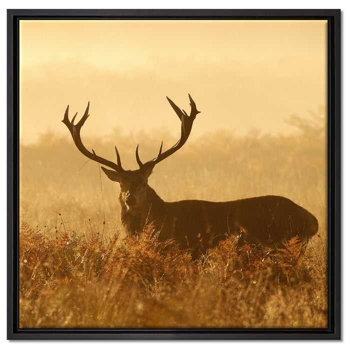 Rotwild Hirsch in Abenddämmerung auf Leinwandbild Quadratisch gerahmt Größe 60x60