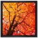 Feurige Herbstblätter auf Leinwandbild Quadratisch gerahmt Größe 40x40