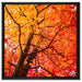 Feurige Herbstblätter auf Leinwandbild Quadratisch gerahmt Größe 60x60