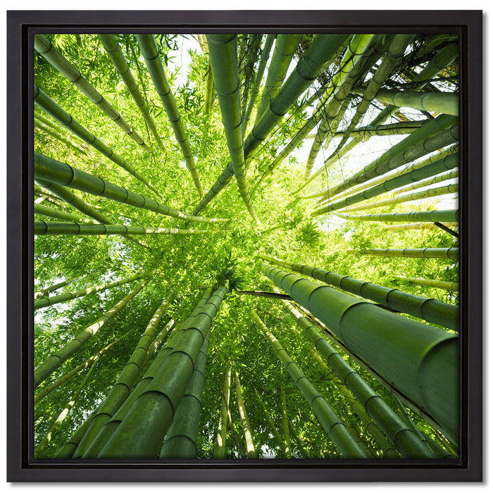 Grüner Bambus auf Leinwandbild Quadratisch gerahmt Größe 40x40