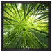 Grüner Bambus auf Leinwandbild Quadratisch gerahmt Größe 40x40