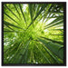 Grüner Bambus auf Leinwandbild Quadratisch gerahmt Größe 60x60
