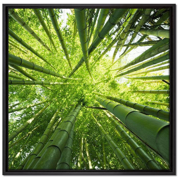 Grüner Bambus auf Leinwandbild Quadratisch gerahmt Größe 70x70