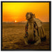 Kamel in Wüste bei Sonnenaufgang auf Leinwandbild Quadratisch gerahmt Größe 70x70