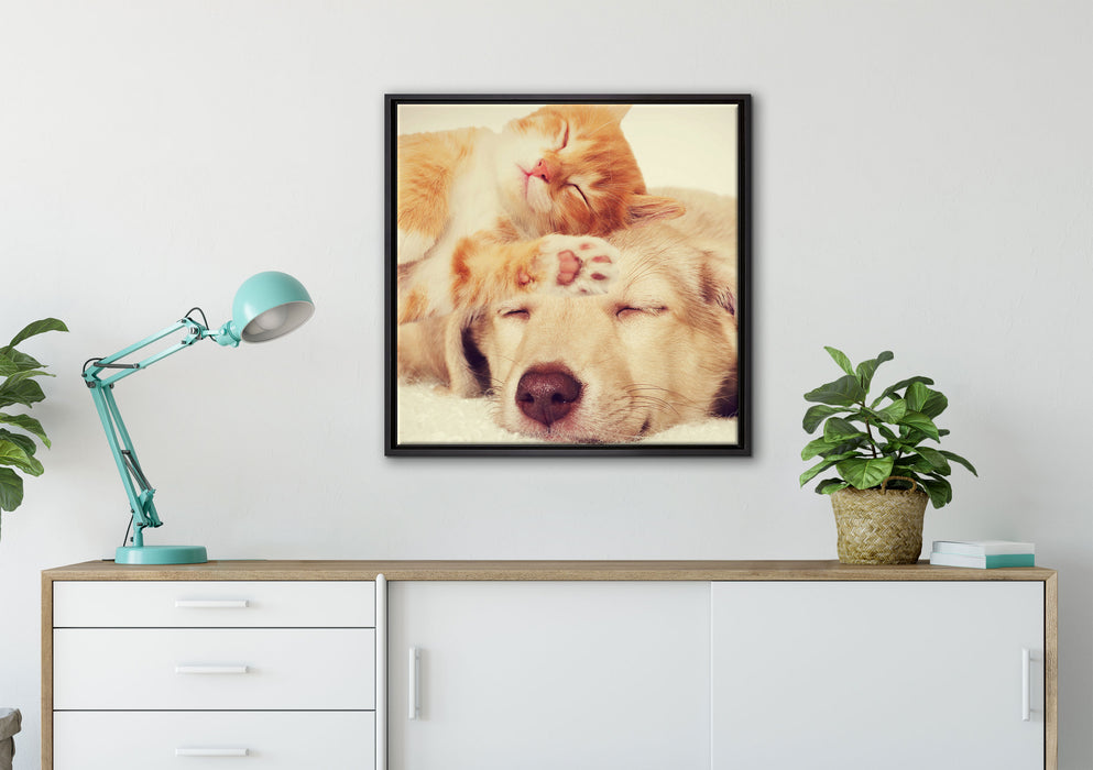 Kätzchen und Welpe schlafen auf Leinwandbild gerahmt Quadratisch verschiedene Größen im Wohnzimmer