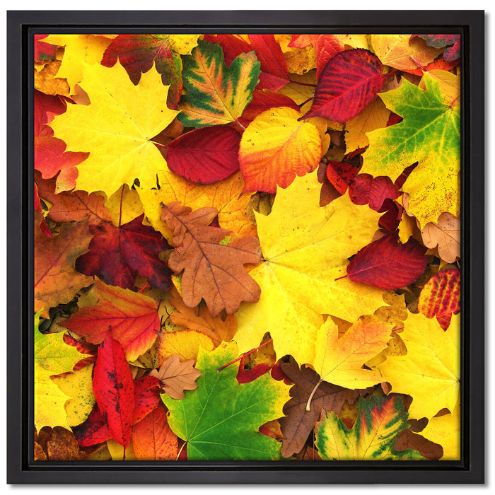 Herbstblätter auf Leinwandbild Quadratisch gerahmt Größe 40x40