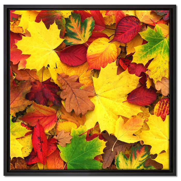 Herbstblätter auf Leinwandbild Quadratisch gerahmt Größe 60x60