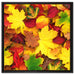 Herbstblätter auf Leinwandbild Quadratisch gerahmt Größe 60x60